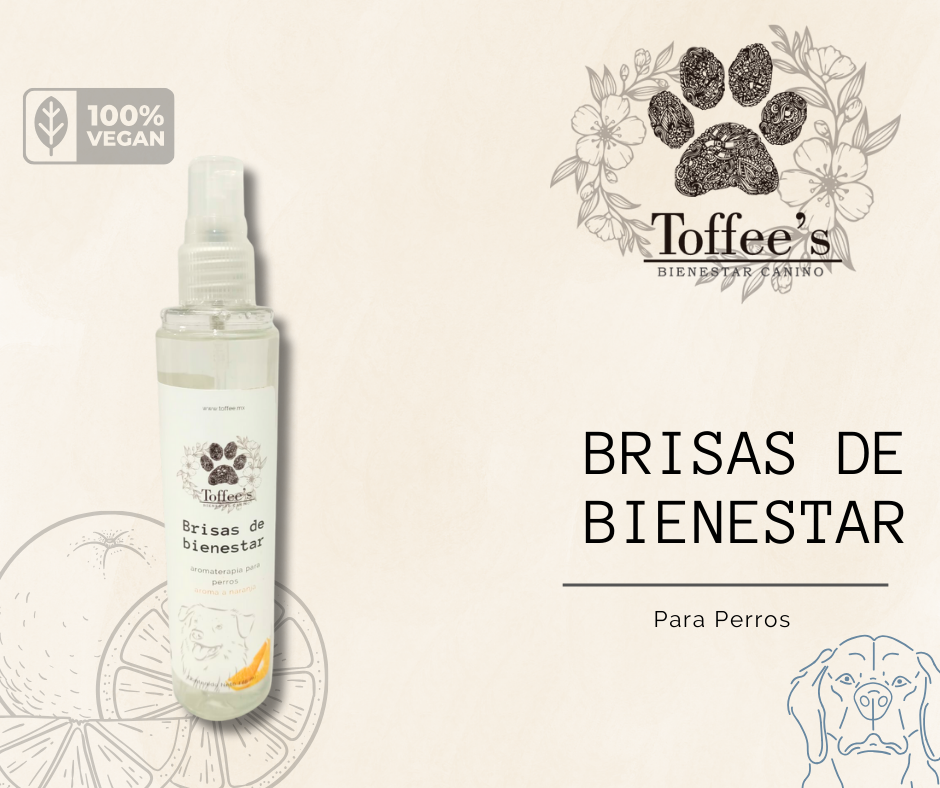 Brisas de bienestar - Aromaterapia para perros