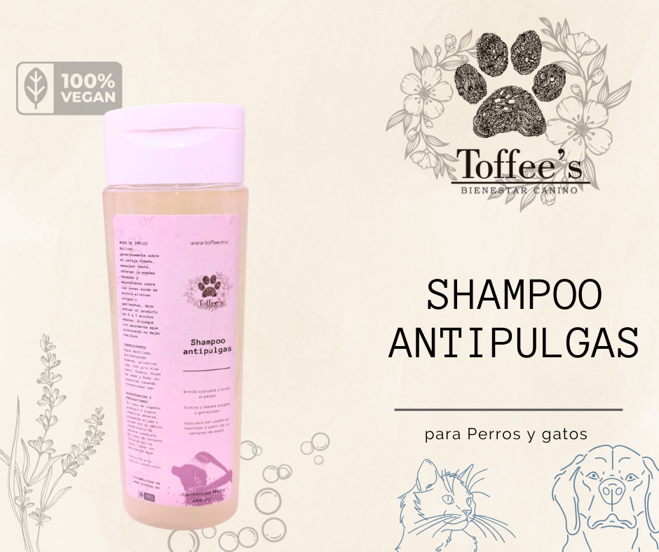 Shampoo Antipulgas