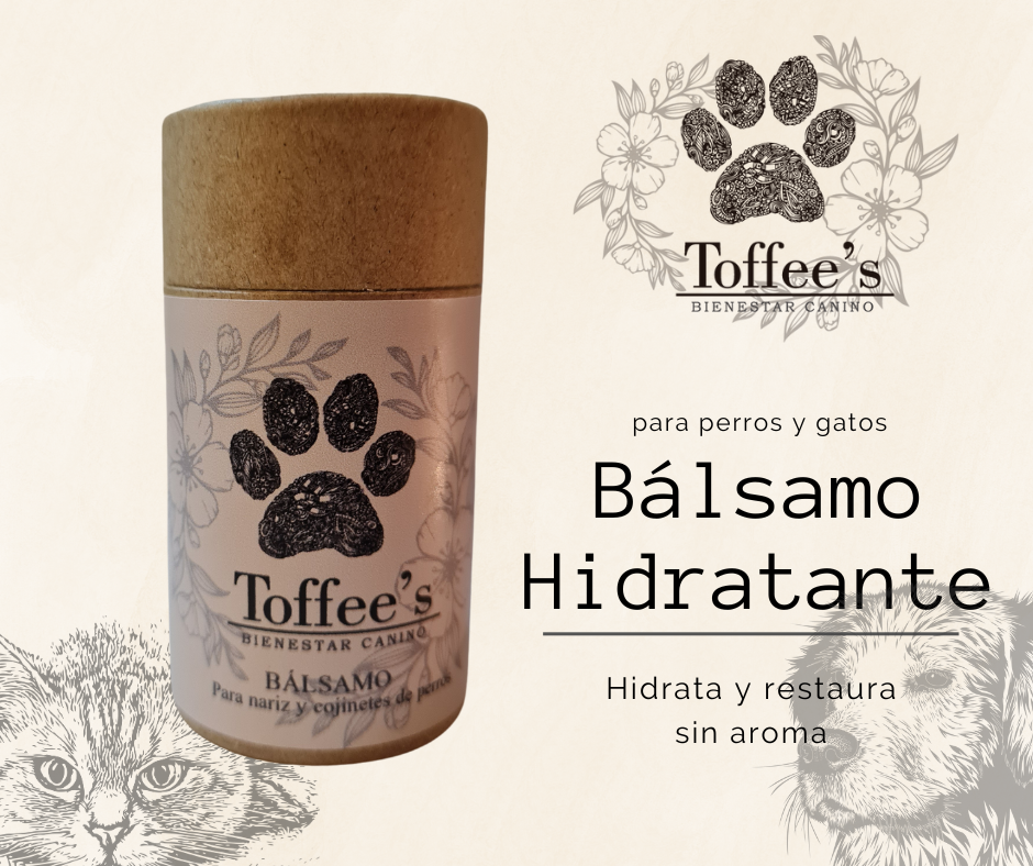 Bálsamo hidratante para perros y gatos 60 grs