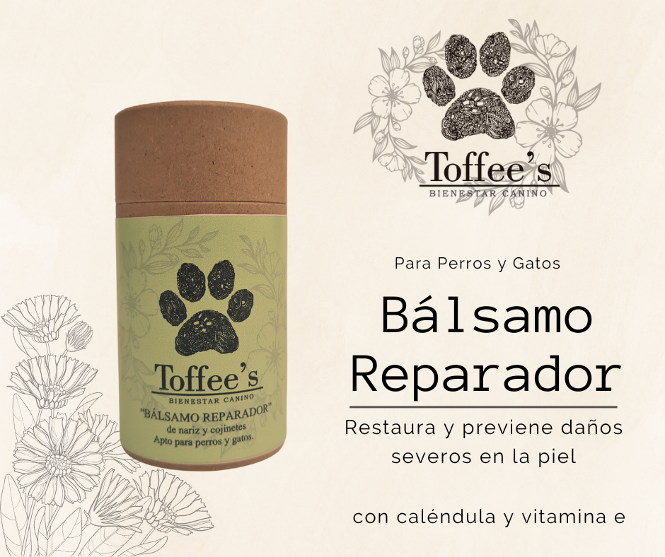 Bálsamo reparador 60grs