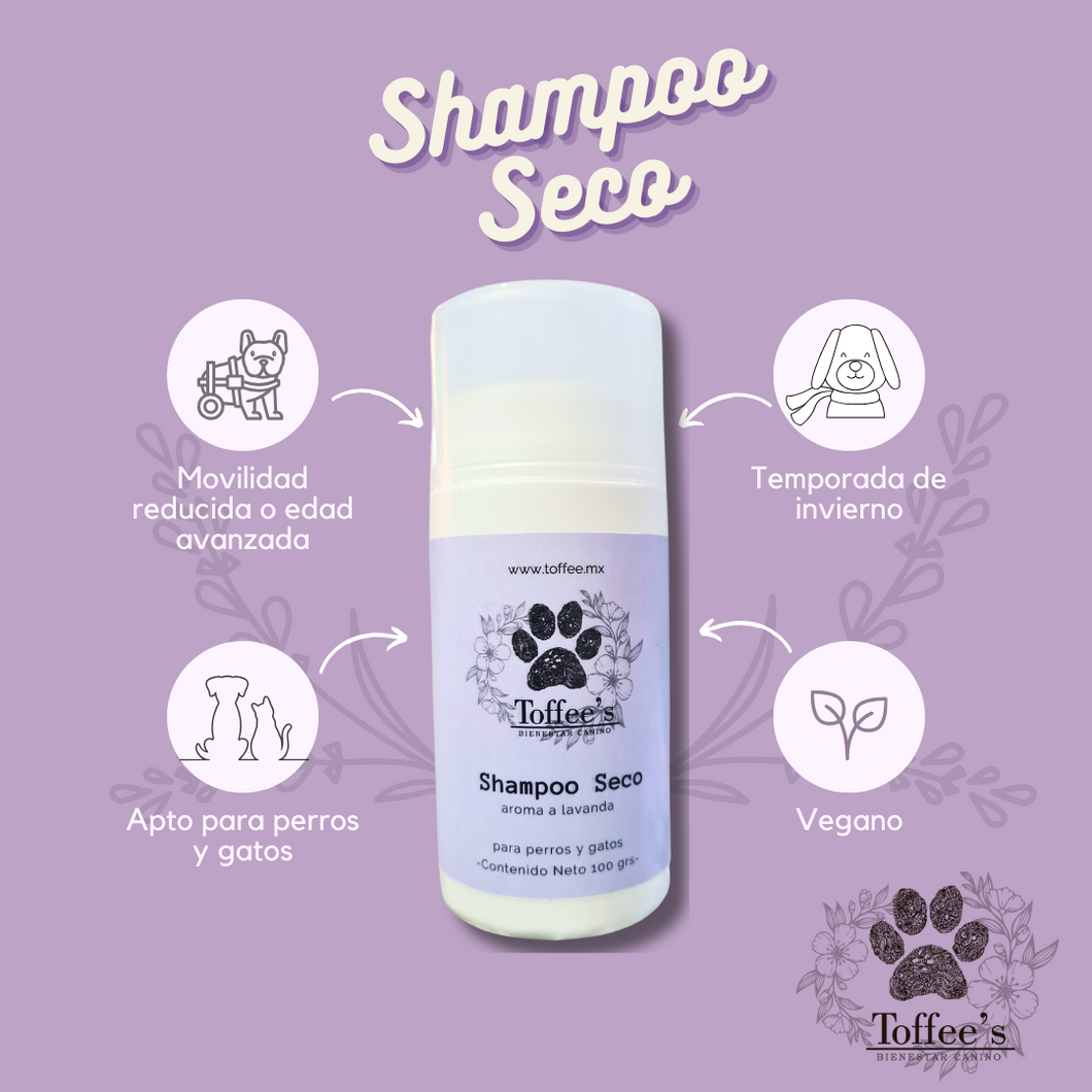 Shampoo Seco 100 grs