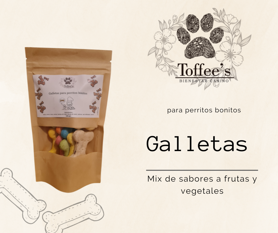 Galletas para perritos bonitos