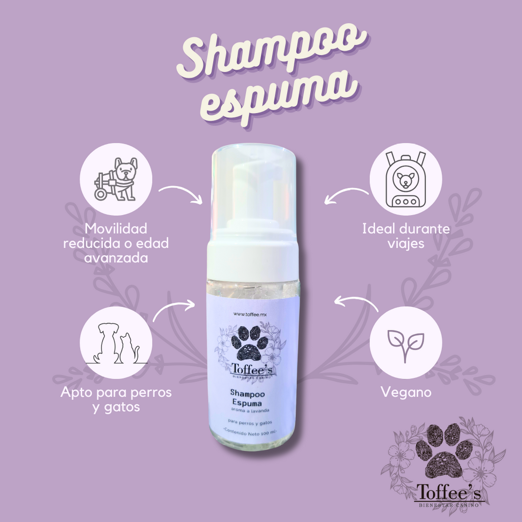 Shampoo Espuma 100ml